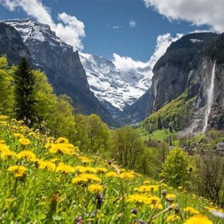 Komfortabel, Perfekte Lage, Neue Wohnung, Gratis P Lauterbrunnen Exterior photo