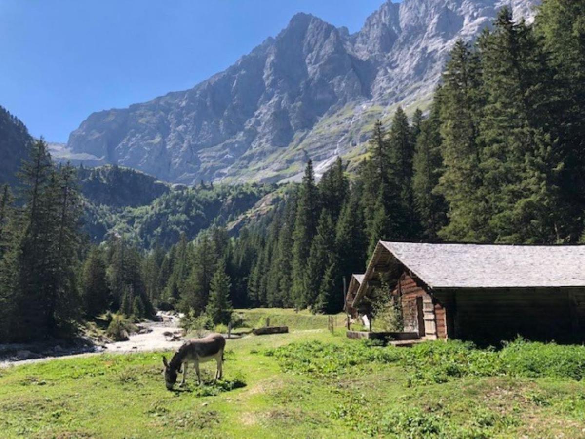 Komfortabel, Perfekte Lage, Neue Wohnung, Gratis P Lauterbrunnen Exterior photo