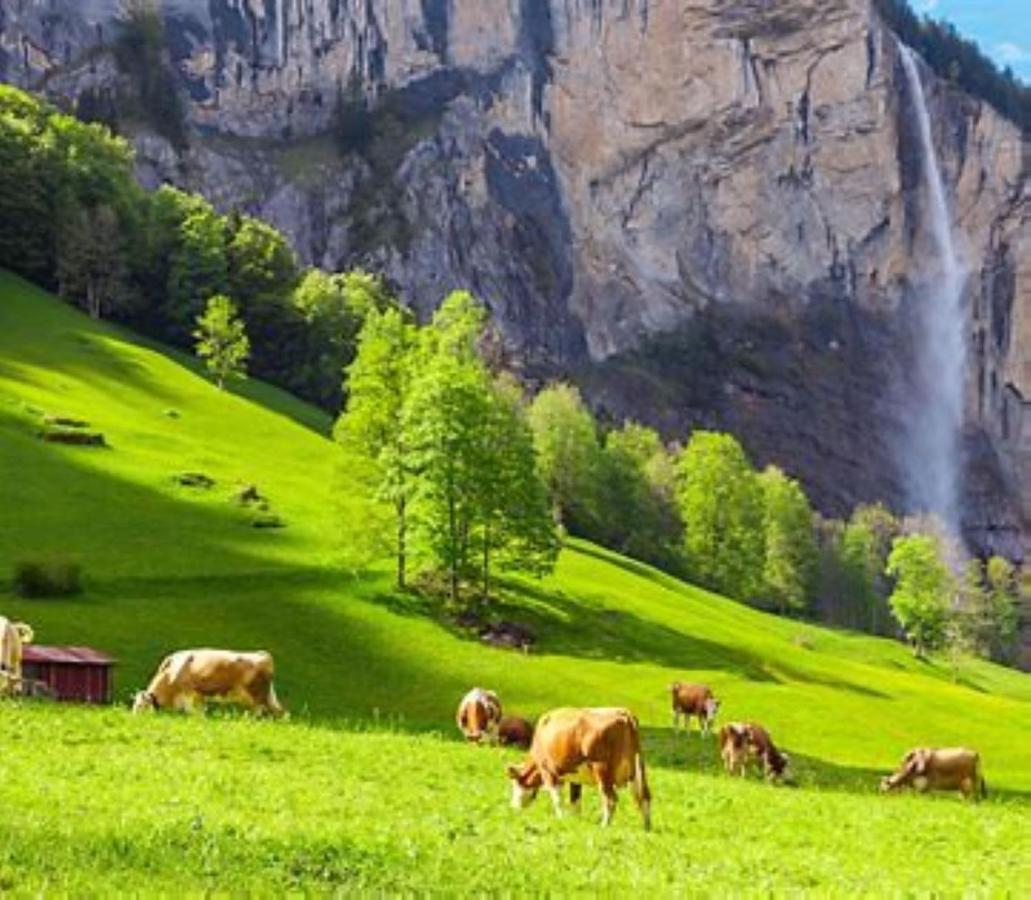 Komfortabel, Perfekte Lage, Neue Wohnung, Gratis P Lauterbrunnen Exterior photo