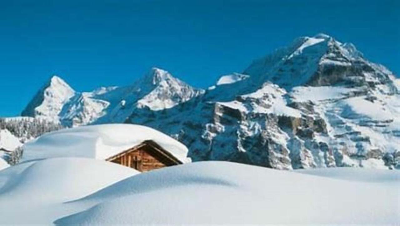 Komfortabel, Perfekte Lage, Neue Wohnung, Gratis P Lauterbrunnen Exterior photo